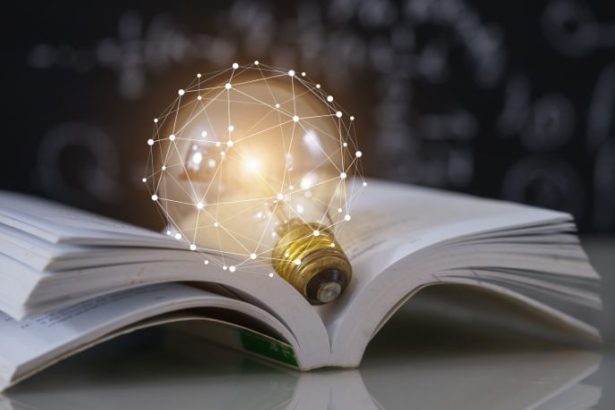 Bruno Garcia Redondo