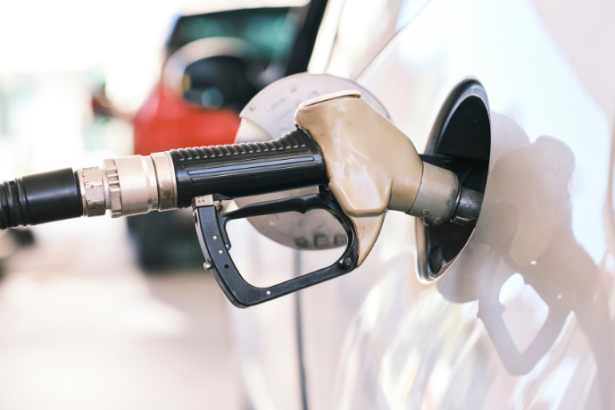 Fernando Trabach Filho