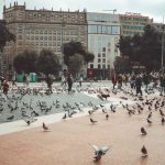 Pessoas e pombos ocupam a Plaça de Catalunya, em Barcelona, cercada por edifícios históricos.